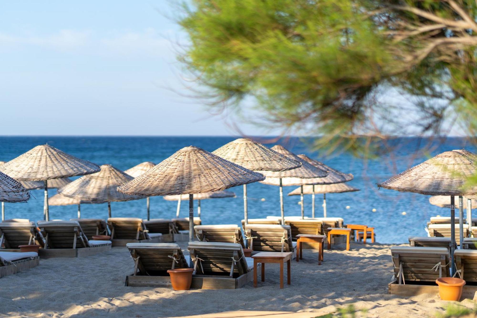 Gokceada Surf Egitim Merkezi المظهر الخارجي الصورة